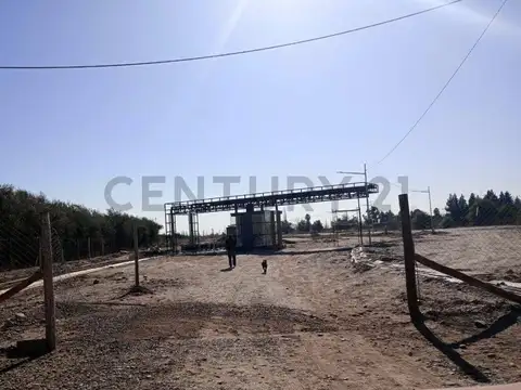 Terreno en Venta en Maipú, Mendoza