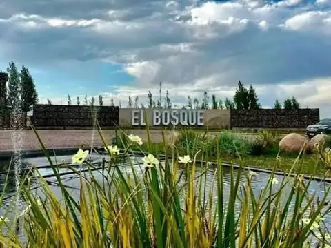 Terreno en Venta en Rodeo del Medio, Maipú