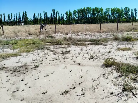 Terreno en Venta en Rama Caída, San Rafael