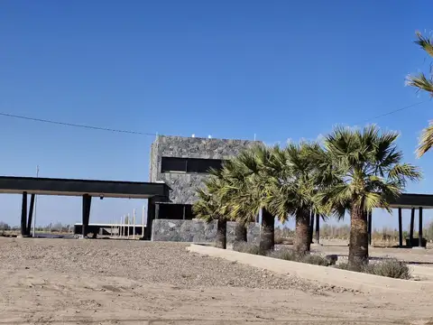 Terreno en Venta en Perdriel, Luján de Cuyo