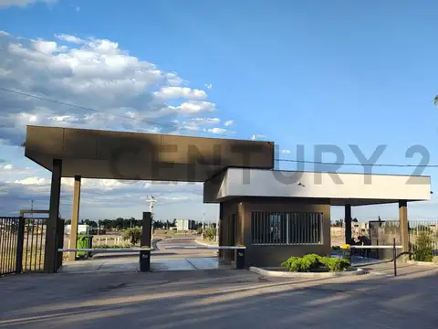 Terreno en Venta en Maipú, Mendoza
