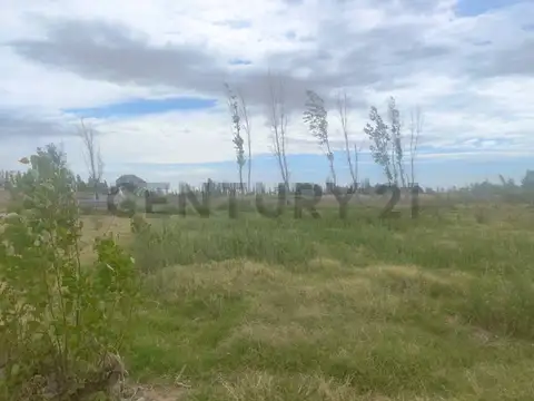 Terreno en Venta en Los Corralitos, Guaymallén