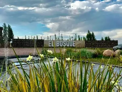 Terreno en Venta en Rodeo del Medio, Maipú