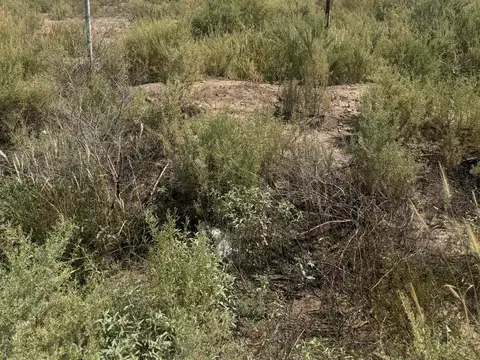 Terreno en Venta en San Rafael, Mendoza
