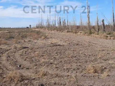 Terreno en Venta en San Rafael, Mendoza