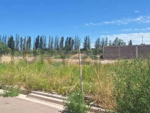 Terreno en Venta en Vistalba, Lujan de Cuyo