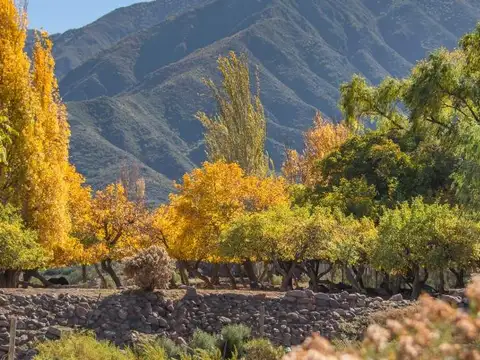 Terreno en Venta en Lujan de Cuyo, Luján de Cuyo