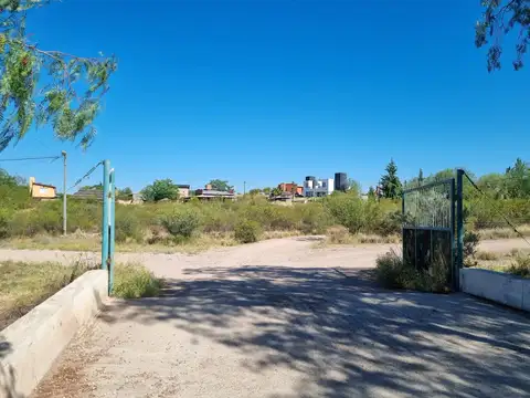 Terreno en Venta en Rama Caida, San Rafael