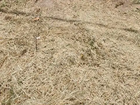 Terreno en Venta en La Primavera, Guaymallén