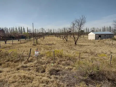Terreno en Venta en San Rafael, Mendoza