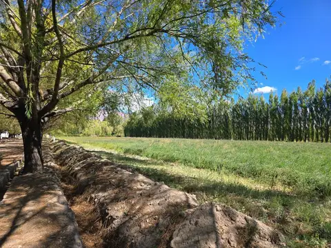 Terreno en Venta en Uspallata, Las Heras