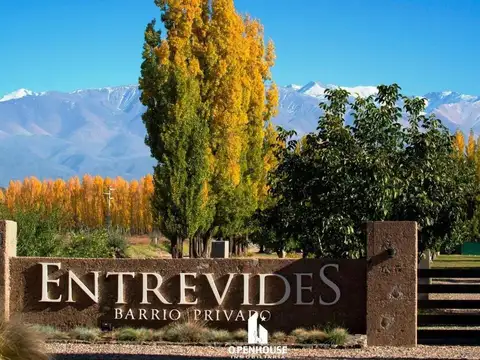 Terreno en Venta en Tupungato, Mendoza