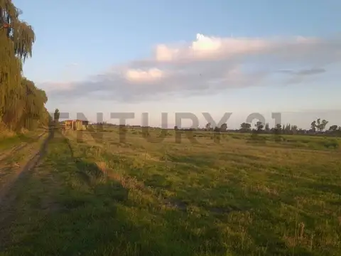 Terreno en Venta en San Rafael, Mendoza