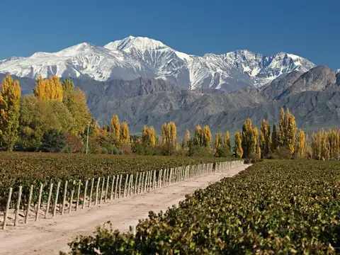 Terreno en Venta en Tupungato, Mendoza