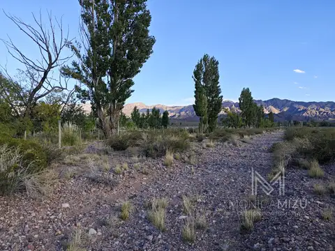 Terreno en Venta en Uspallata, Las Heras