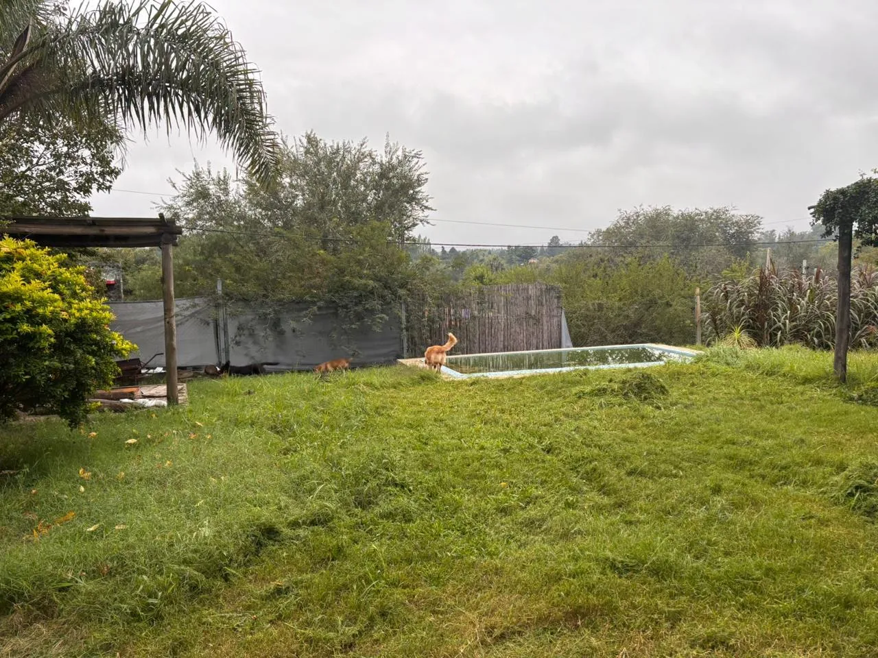 Casa en venta de 3 dormitorios con piscina en Cumbres de Villa Allende.