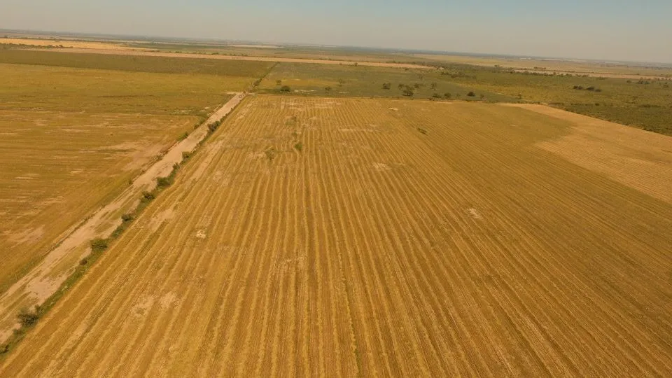 Campo ganadero en venta. 385 has en Córdoba