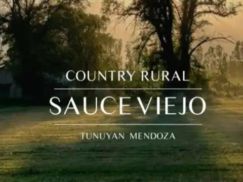 Terreno en Venta en Colonia las Rosas, Tunuyán