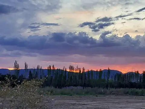 Terreno en Venta en Rama Caída, San Rafael