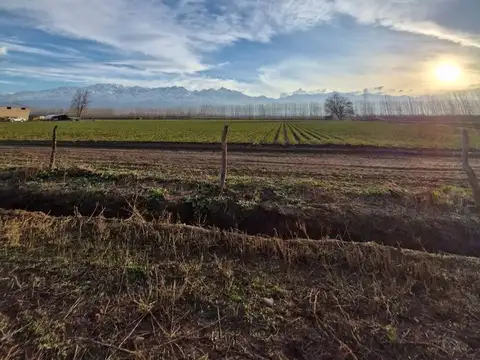 Terreno en Venta en Tunuyan, Tunuyán