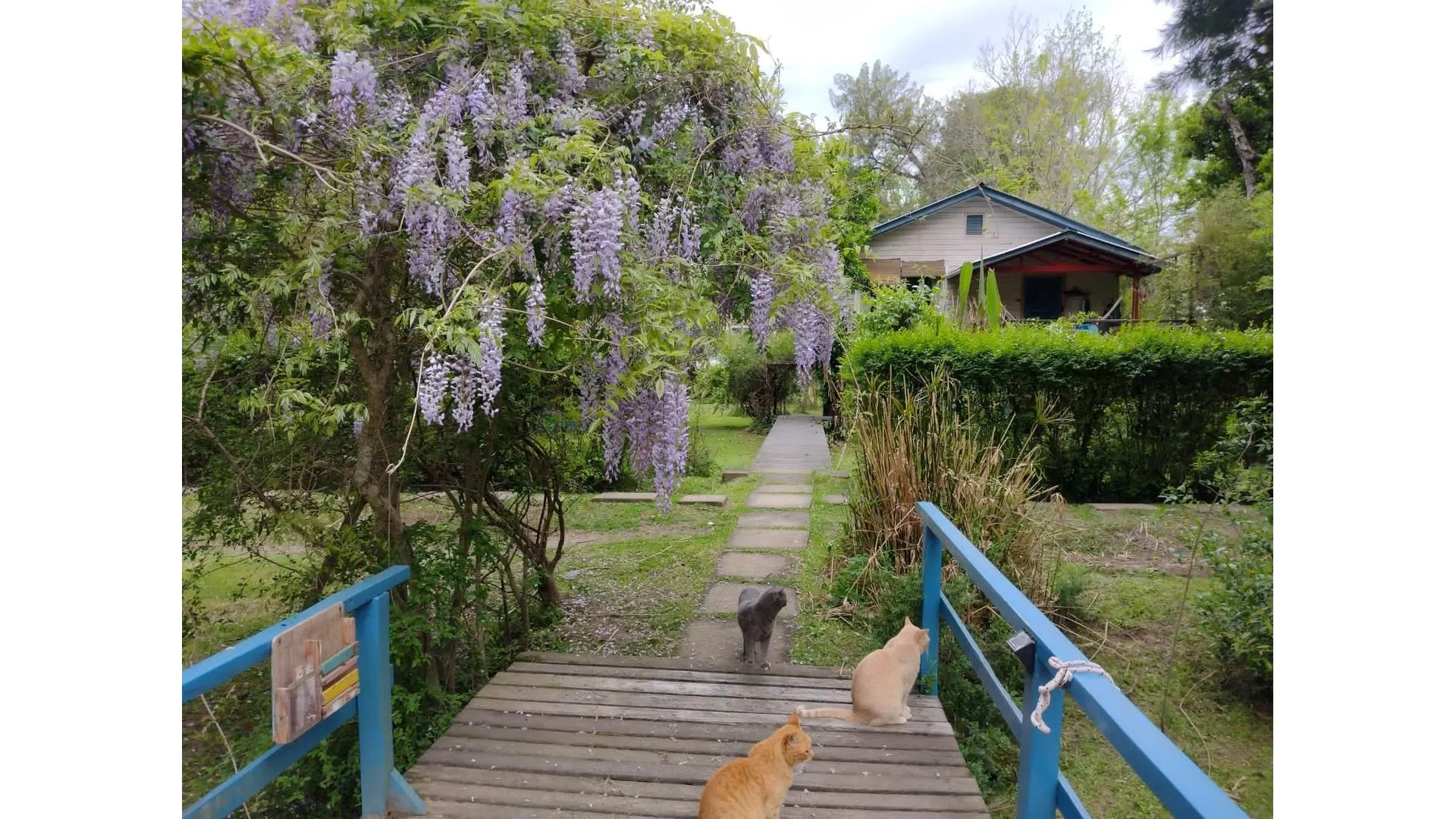 Arroyo Rama negra, hermosa casa Mamina