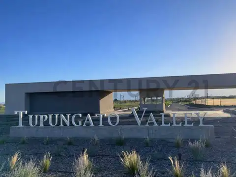 Terreno en Venta en Tupungato, Mendoza