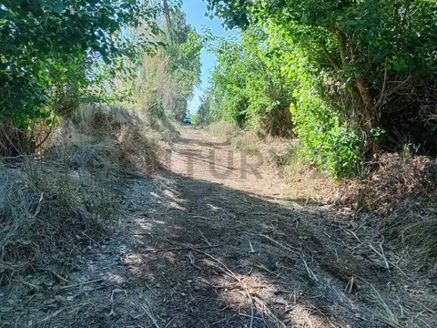 Terreno en Venta en Los Corralitos, Guaymallén