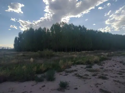 Terreno en Venta en San Rafael, Mendoza
