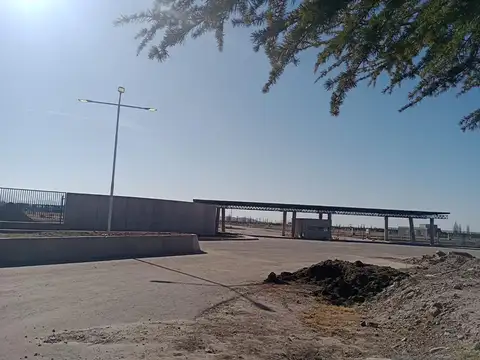 Terreno en Venta en Lujan de Cuyo, Luján de Cuyo