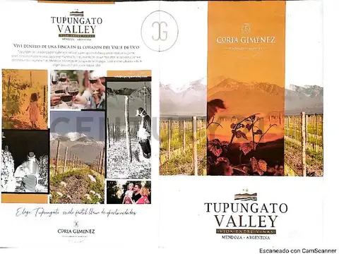 Terreno en Venta en Tupungato, Mendoza