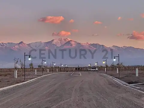 Terreno en Venta en Tupungato, Mendoza