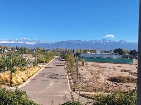 Terreno en Venta en Lujan De Cuyo, Lujan de Cuyo