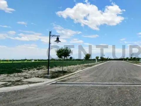 Terreno en Venta en Tupungato, Mendoza