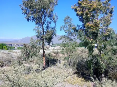 Terreno en Venta en Blanco Encalada, Luján de Cuyo