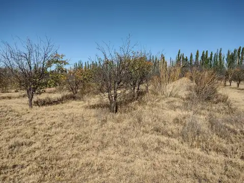 Terreno en Venta en San Rafael, Mendoza