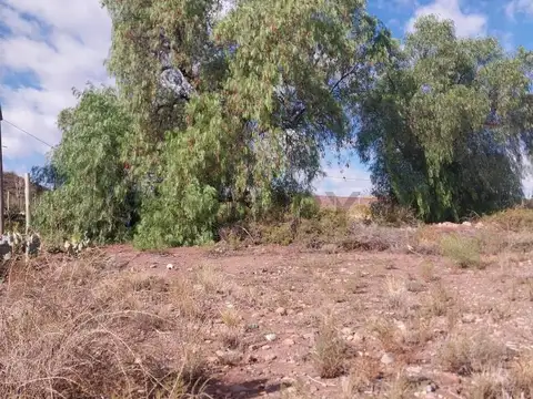 Terreno en Venta en Perdriel, Luján de Cuyo