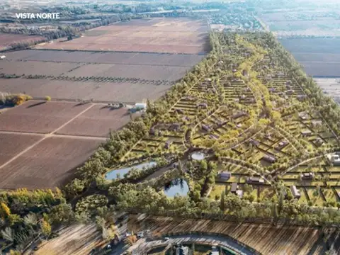 Terreno en Venta en Lujan de Cuyo, Luján de Cuyo
