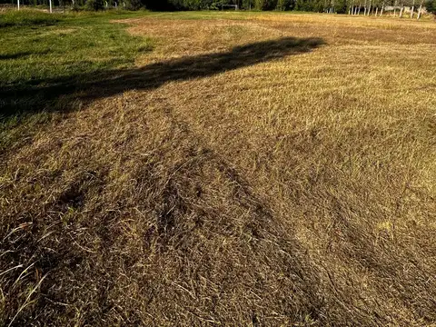 Terreno en Venta en Coquimbito, Maipú