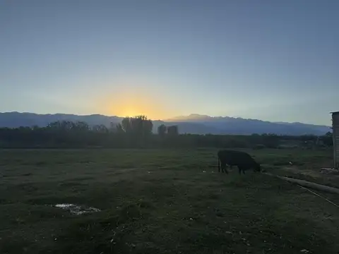 Terreno en Venta en Chilecito, San Carlos