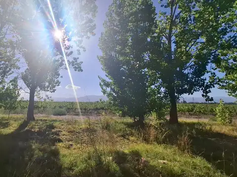 Terreno en Venta en Lunlunta, Maipú