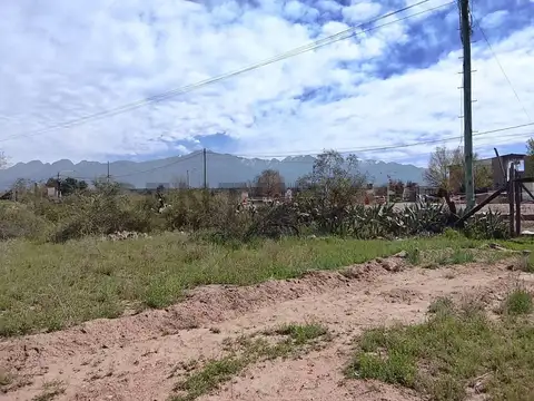 Terreno en Venta en Lujan de Cuyo, Luján de Cuyo