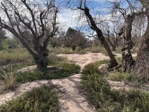 Terreno en Venta en Jesus Nazareno, Guaymallén