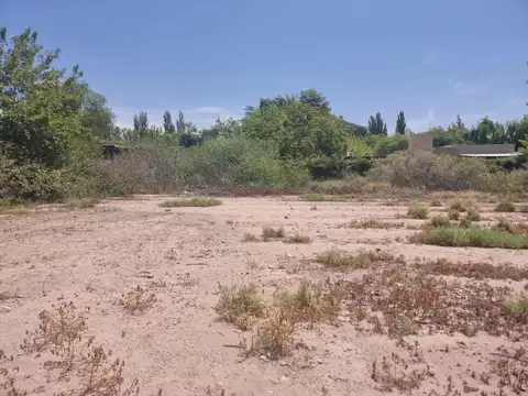 Terreno en Venta en Chacras de Coria, Luján de Cuyo