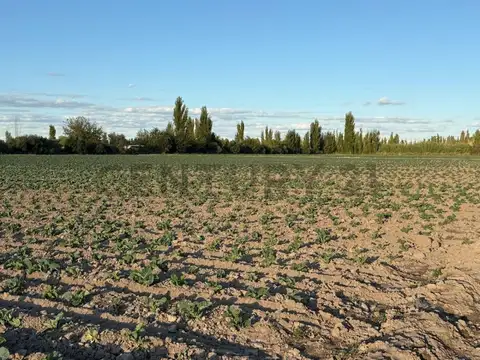 Terreno en Venta en Rodeo del Medio, Maipú