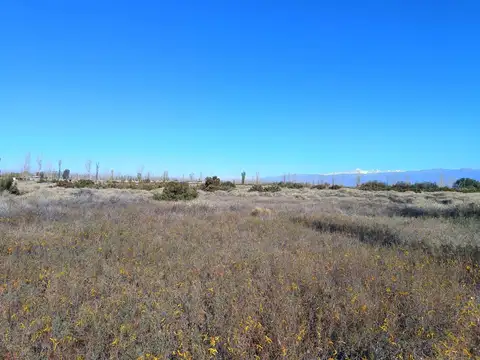Terreno en Venta en Jocoli Viejo, Lavalle
