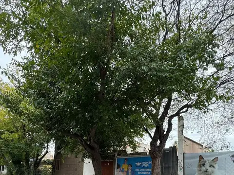 Terreno en Venta en Mendoza, Capital