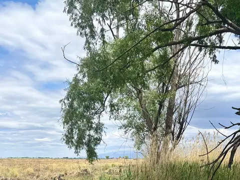 Terreno en Venta en La Primavera, Tunuyán