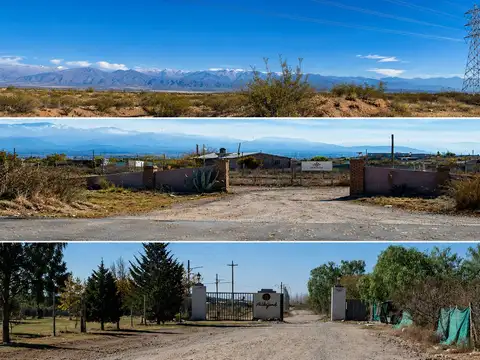 Terreno en Venta en Lujan De Cuyo, Lujan de Cuyo
