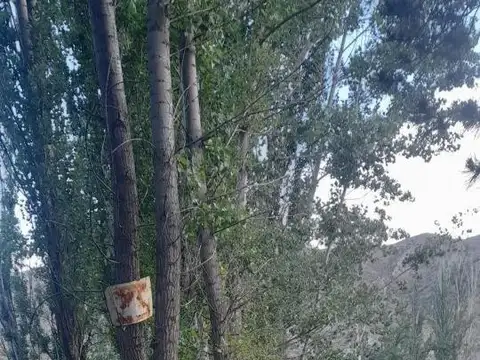 Terreno en Venta en Potrerillos, Luján de Cuyo