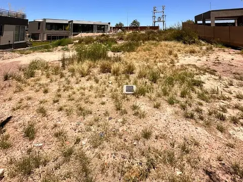 Terreno en Venta en Lujan de Cuyo, Luján de Cuyo